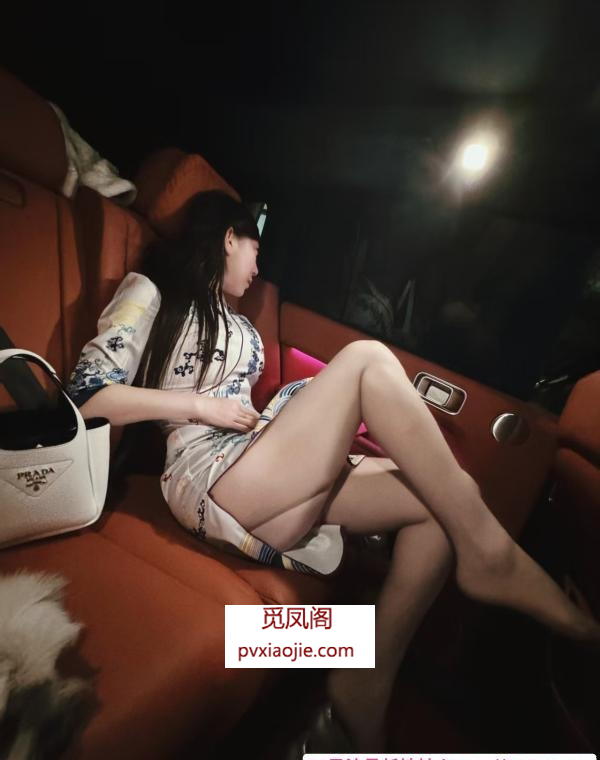 车震大长腿空姐