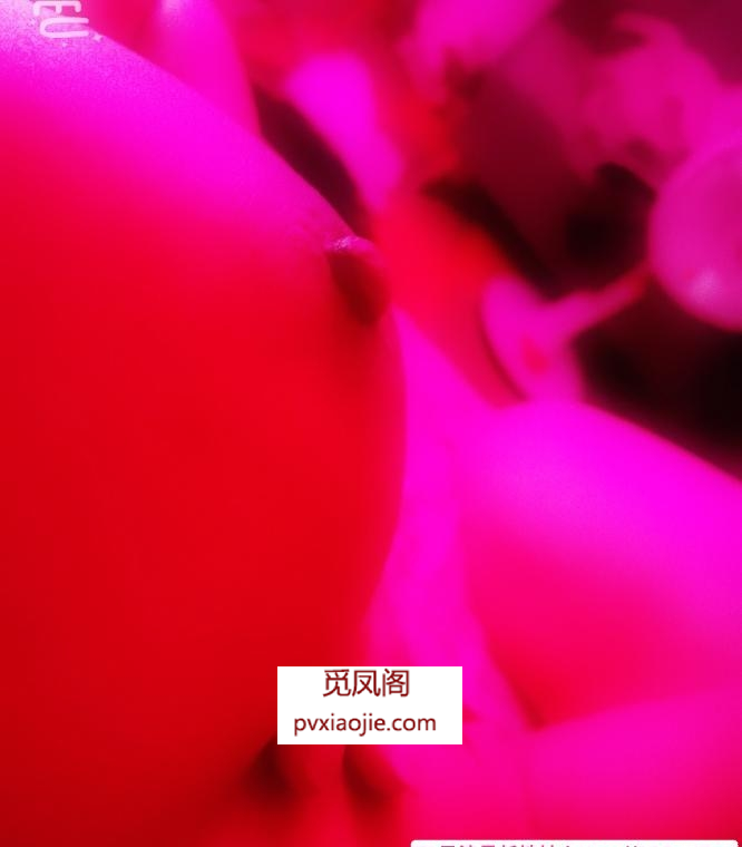 武汉光谷小骚骚