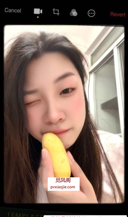 敬业瘾大小布点